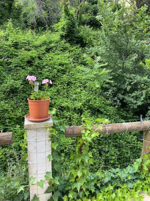 Villa Serenice - F2 Au Calme, Climatise, Wifi Et Parking Gratuit Eksteriør bilde